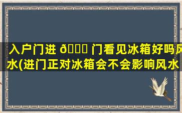 入户门进 🐕 门看见冰箱好吗风水(进门正对冰箱会不会影响风水 🐦 )